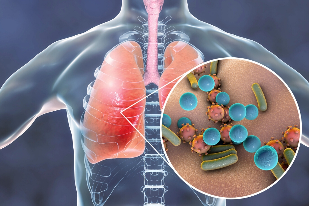 Respiratory System | Skinn Bar